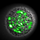 Illustration for article titled Genetically engineered cell becomes world's first living laser